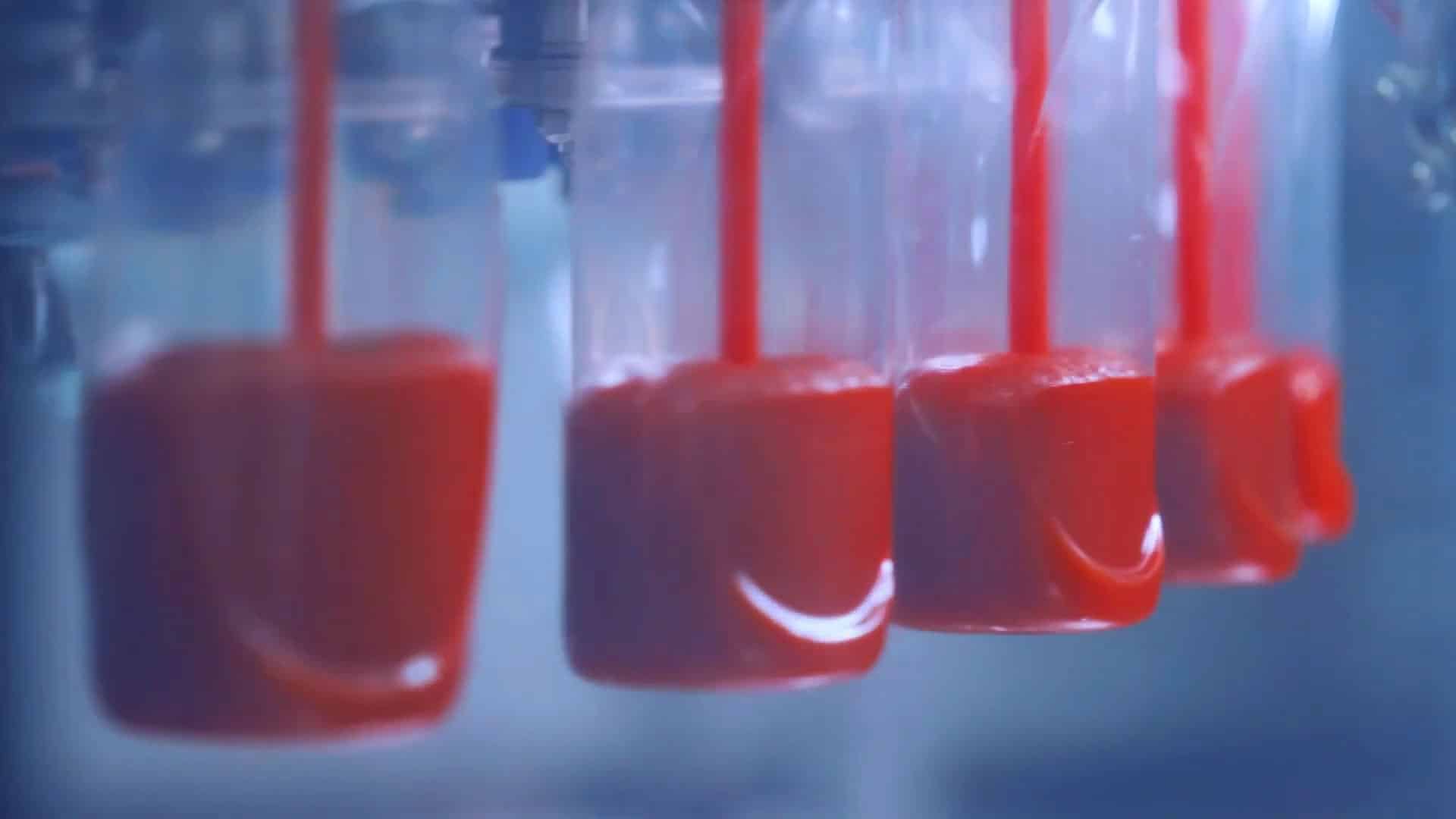 CFT - Ketchup  - Video realizzato per promuovere la catena di montaggio CFT di produzione ed imballaggio del ketchup. Anno di produzione: 2022
