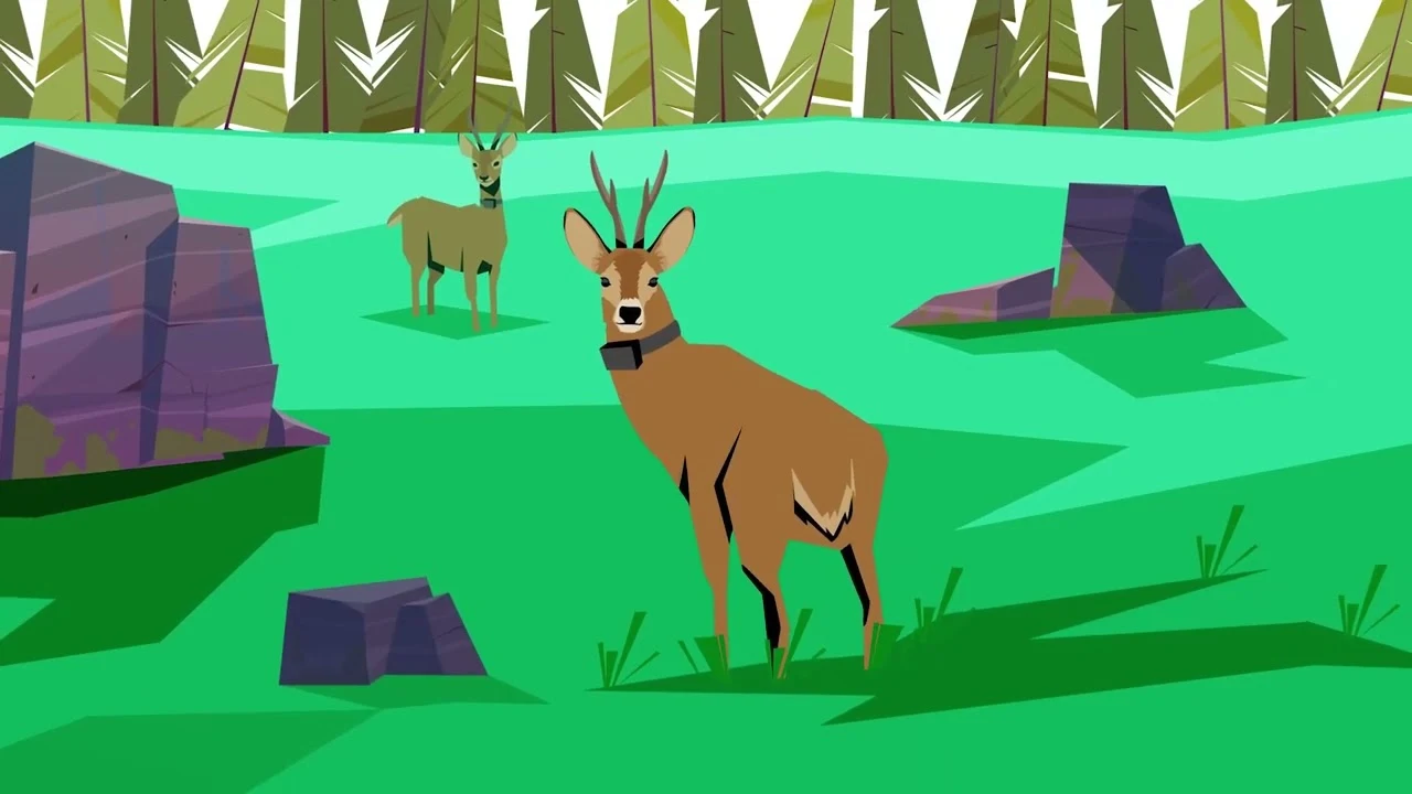 LIFE WolfAlps · Convivenza — miniatura del video